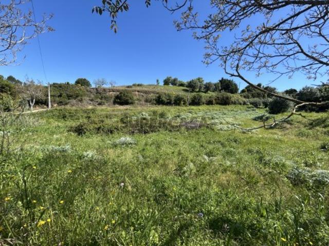 Terreno com projeto em Cem Soldos