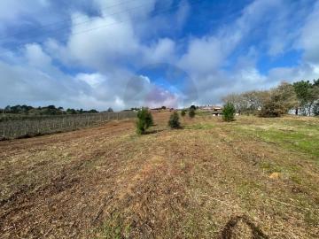 Terreno com projeto para 2 moradias e vista deslumbrante para o campo