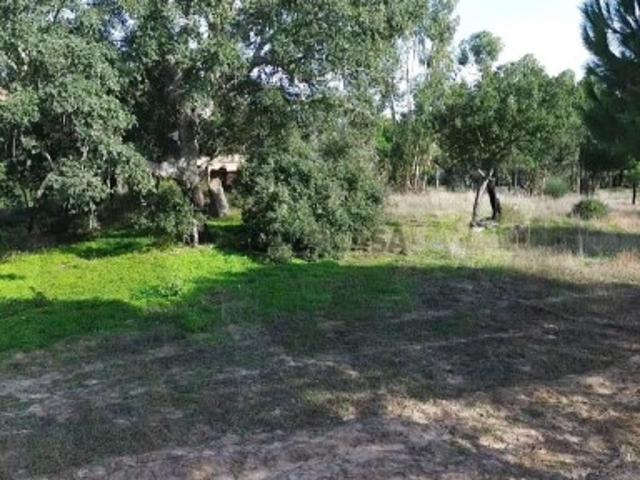 Terreno com Projeto para Moradia V6