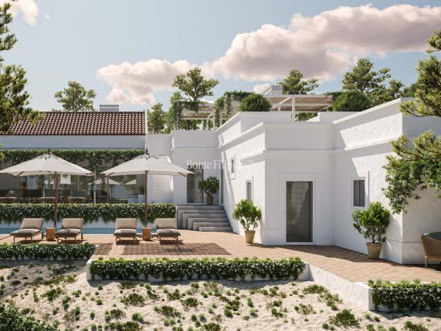 Terreno com Projeto Turn Key Pronto a Construir na Comporta