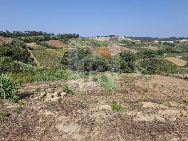 Terreno com Projeto