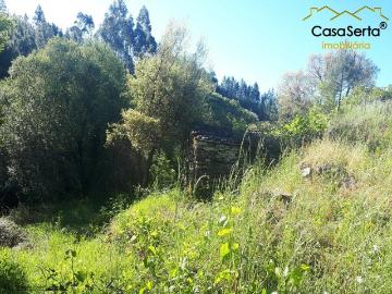 Terreno com Ribeira
