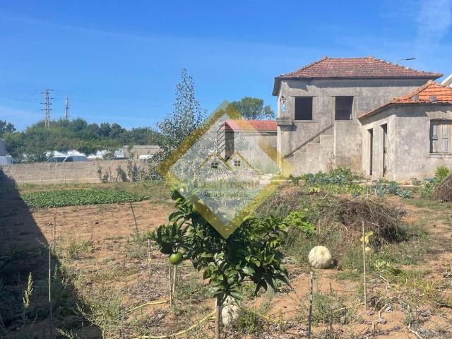 Terreno com ruina