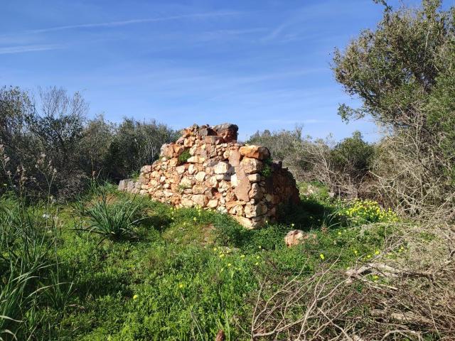 Terreno com ruina