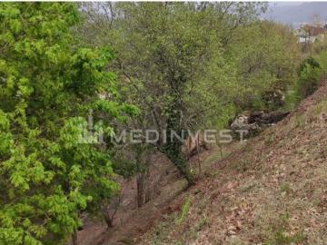 Terreno com Ruina