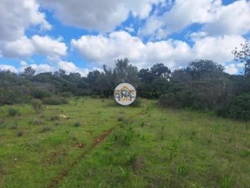 Terreno com ruína