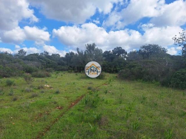 Terreno com ruína