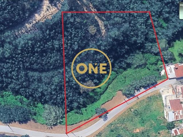 Terreno com Ruína 3380m² junto Circular Externa