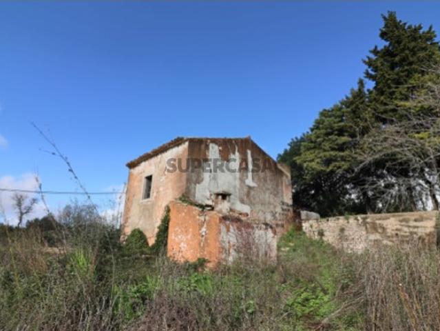 Terreno com ruina