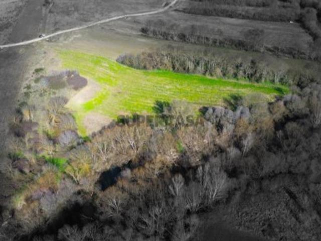 Terreno com ruína | Alcaria