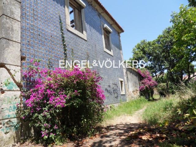 Terreno com ruína e projeto na Ameixoeira