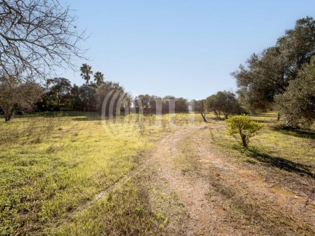 Terreno com ruína, em Alcantarilha, Pêra, Silves, Algarve