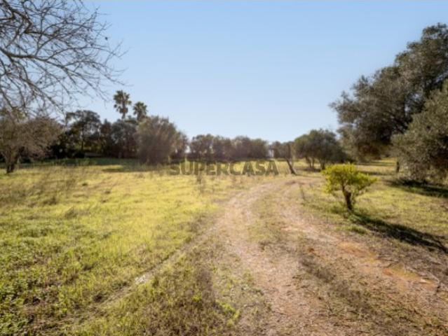 Terreno com ruína, em Alcantarilha, Pêra, Silves, Algarve