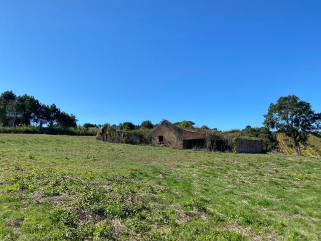 Terreno com ruína em Óbidos