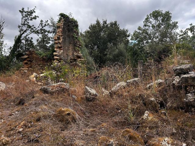 Terreno com Ruína em Pussos São Pedro, Alvaiázere