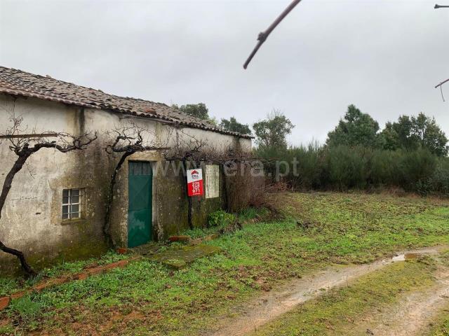 Terreno com ruina / Fundão, Fatela
