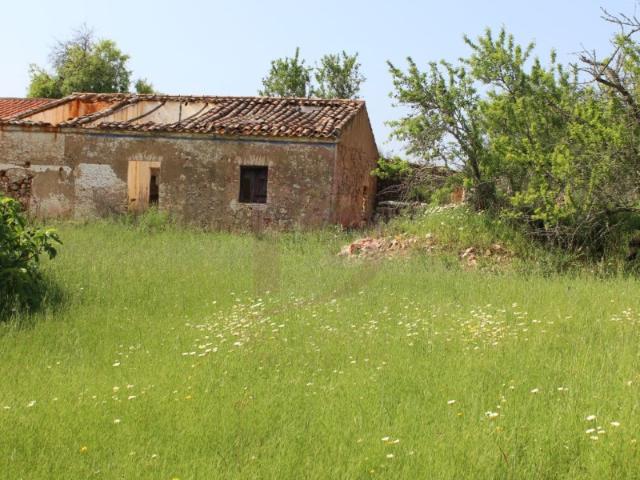 Terreno com Ruína Geminada para Recuperar Tunes, Algarve