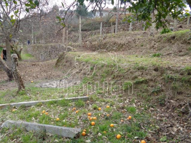 TERRENO COM RUÍNA Labruja, Ponte de Lima