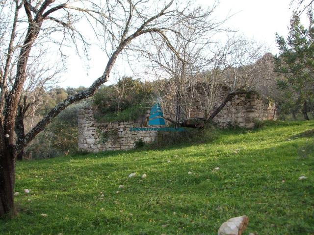 Terreno com ruína localizado nas redondezas de Monte seco