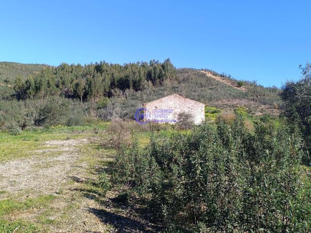 Terreno com ruina localizado em Santana da Serra, com 2.6ha
