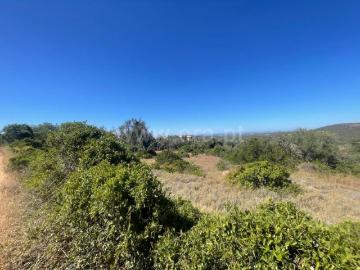 Lagoa de Momprolé, São Sebastião, Loulé, Loulé, Distrito de Faro, Algarve