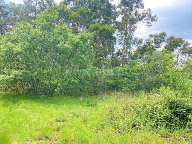 Terreno com ruina / Marco de Canaveses, Soalhães