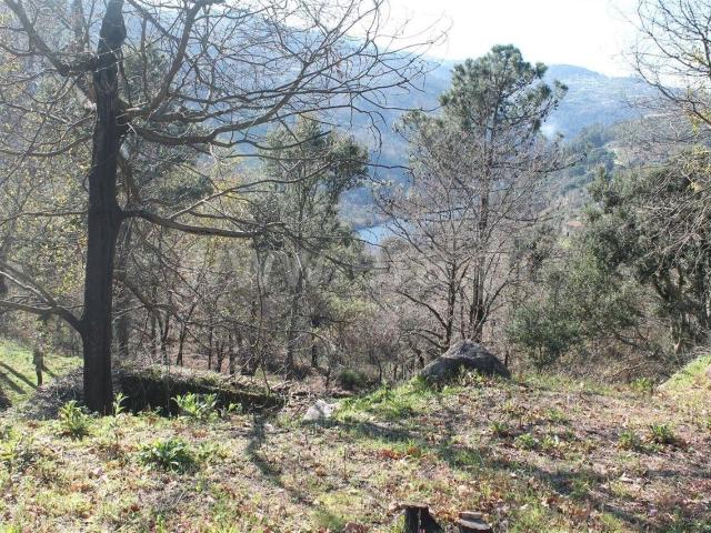 Terreno com ruina / Marco de Canaveses, Penhalonga e Paços de Gaiolo
