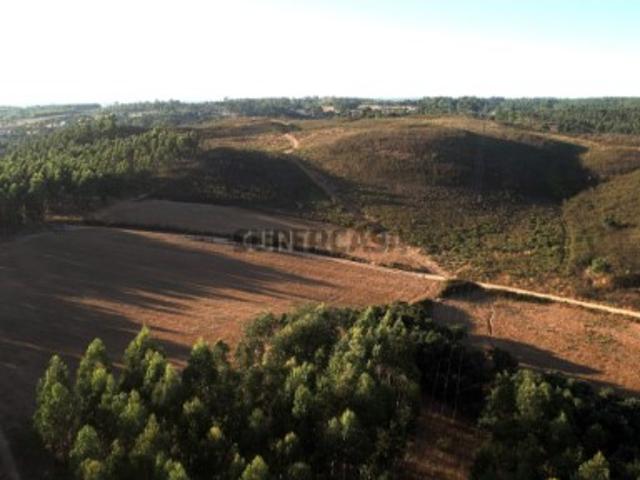 Terreno com ruina Aljezur Carrascalinho