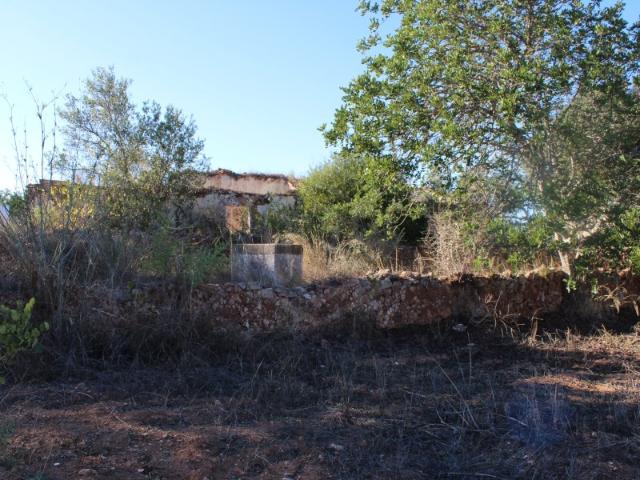 Terreno com ruína no Barrocal Algarvio, São Bartolomeu de Messines
