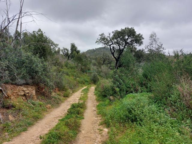 Terreno com Ruína para Venda em Monchique