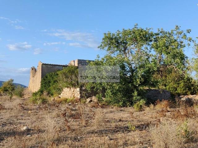 Terreno com Ruína Quelfes