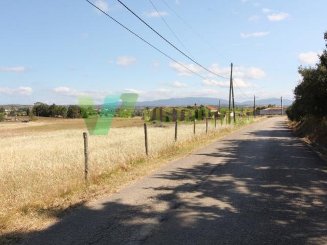 Terreno com Ruinas, 20 Hectares Área, Odiáxere