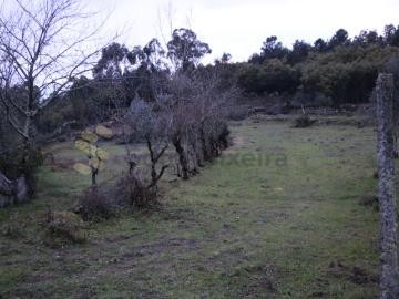 Terreno com Ruinas em Penhalonga, Paços de Gaiolo
