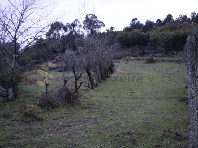 Terreno com Ruinas em Penhalonga, Paços de Gaiolo