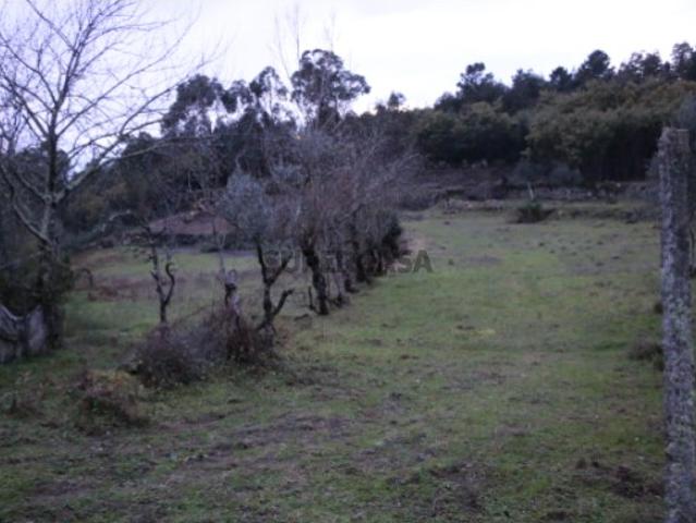 Terreno com Ruinas em Penhalonga, Paços de Gaiolo