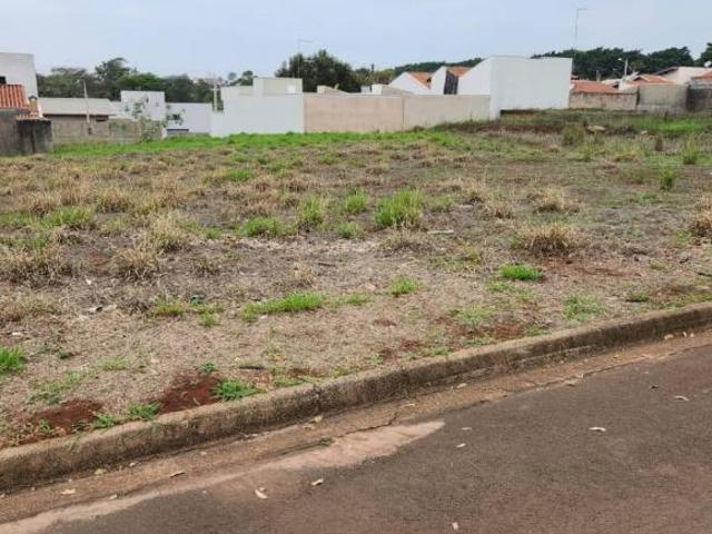 Terreno comercial