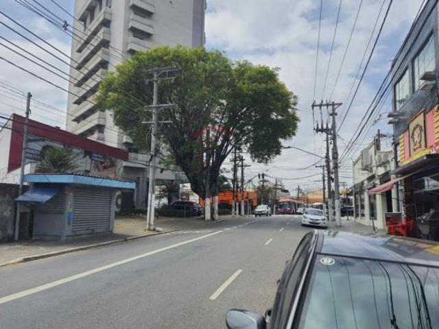 Terreno Comercial à Venda na Avenida Conselheiro Carrão ? 1.980 m²