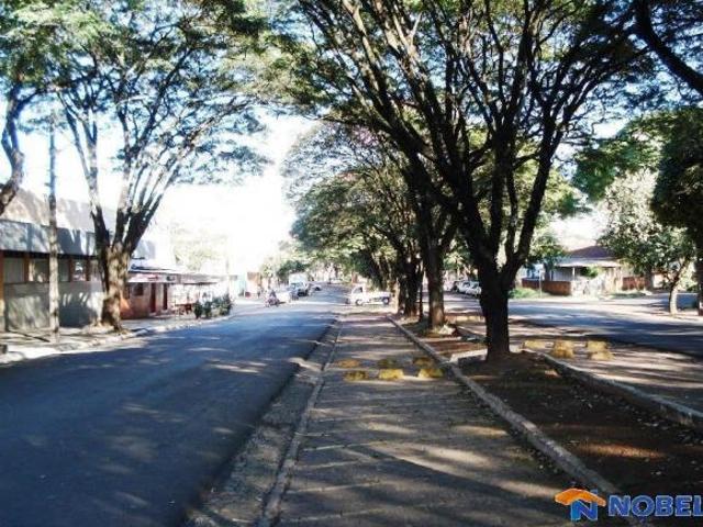 Terreno comercial a venda em Cianorte