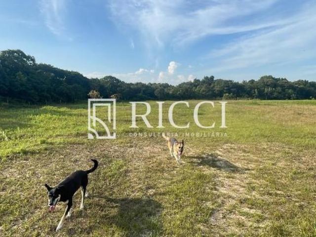 Terreno comercial à venda em São Vicente SP, 46.000 m² de área!