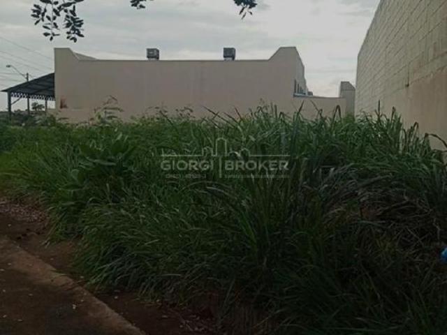 Terreno Comercial à Venda em São José do Rio Preto SP 930m² no Bairro X Oportunidade Imperdível!