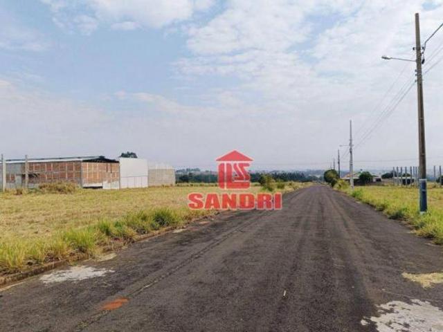 Terreno comercial à venda, 600 m² loanda PR