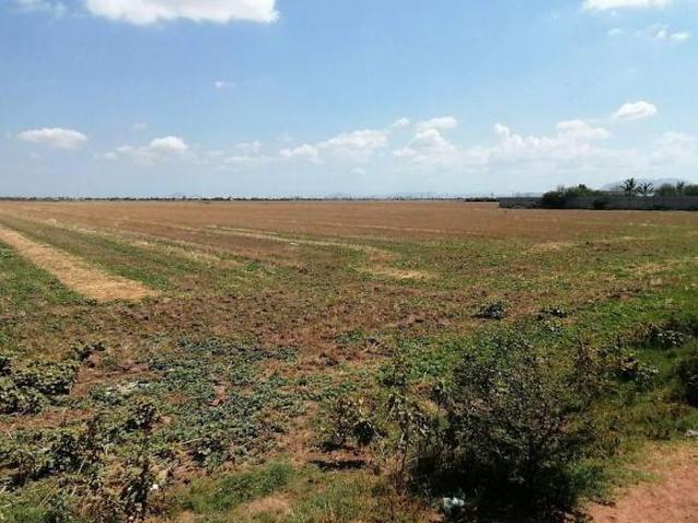 Terreno comercial agroindustrial en venta ciudad obregón sonora cajeme