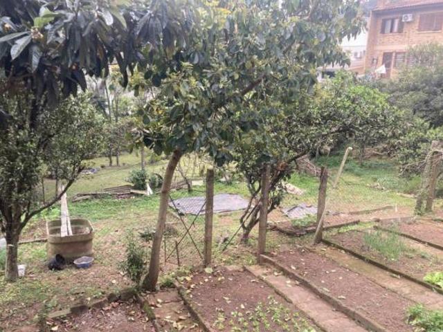 Terreno Comercial Bairro Piratini