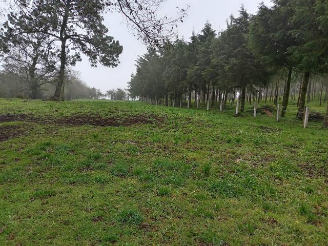 Terreno Comercial e Industrial en Zona de Crecimiento