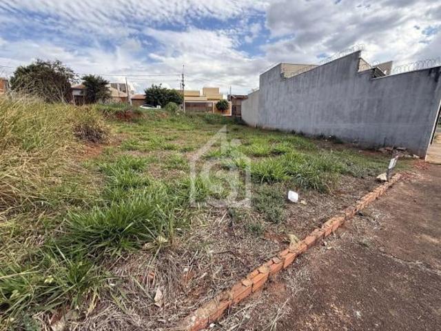 Terreno comercial e residencial no Setparque — 260m², frente para avenida principal | SJP Rio Preto/