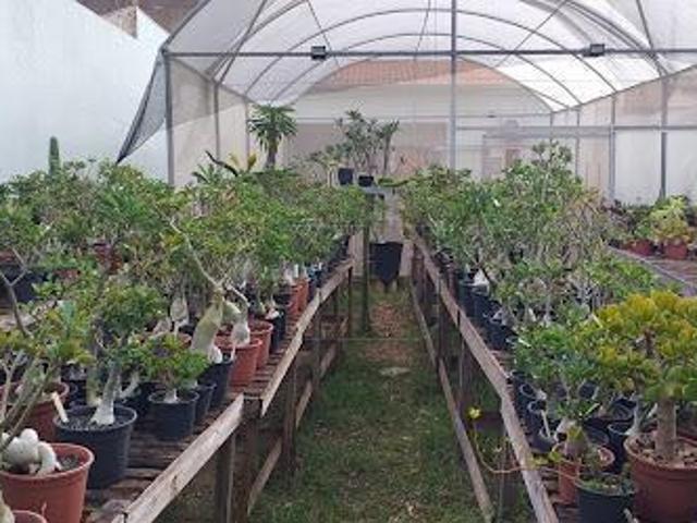 Terreno Comercial em Palmital Marília, SP