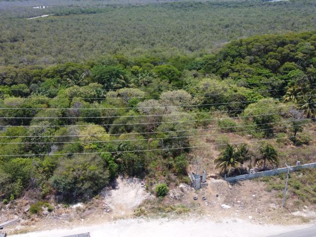 Terreno Comercial en VENTA
