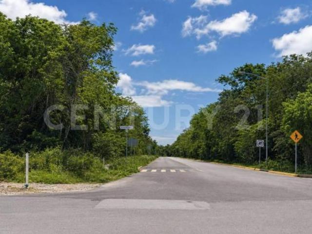 Terreno Comercial en Venta