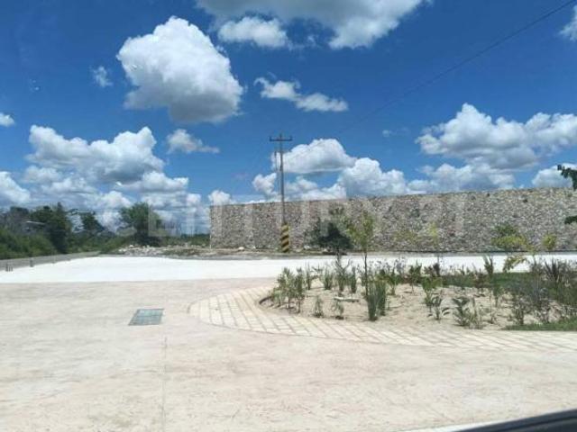 Terreno Comercial en venta Xama 21