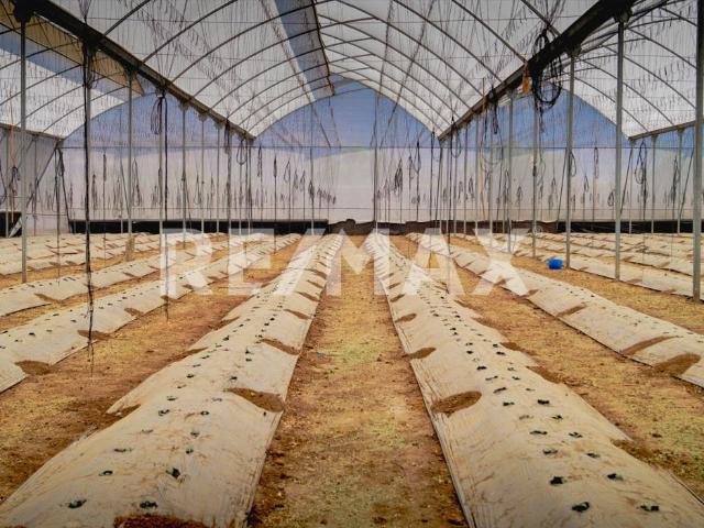 Terreno Comercial en Venta Yautepec de Zaragoza Morelos